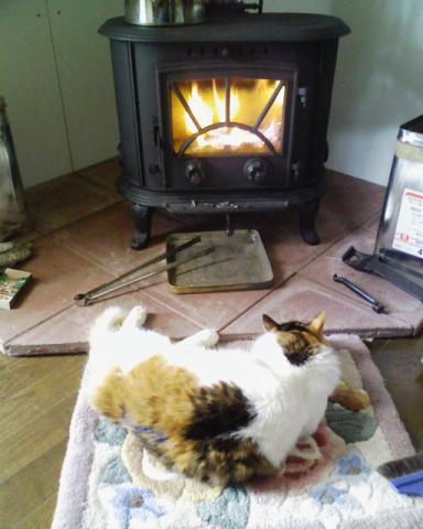 薪ストーブとさくら様