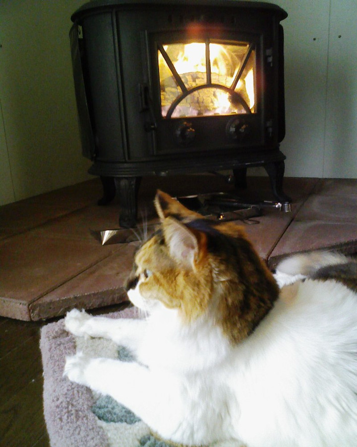 薪ストーブとさくら