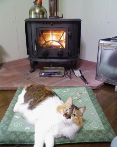 薪ストーブを使いはじめて一年