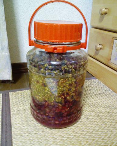 山ぶどう酒２日目