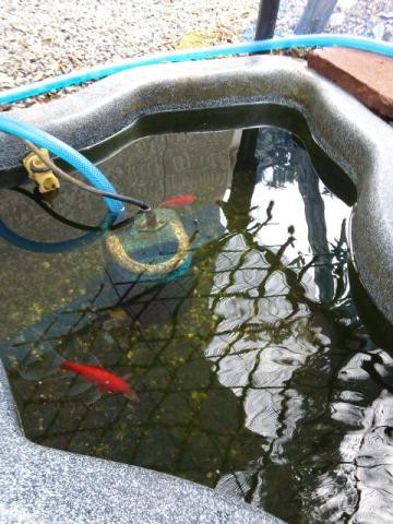  五ヶ月ぶりに対面！