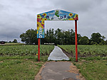 Img_20260710_112641