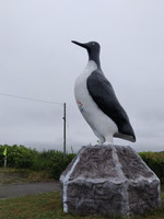 Img_20260710_152841