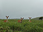 Img_20260711_065152