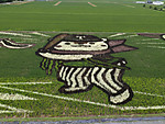 Img_20260712_093901