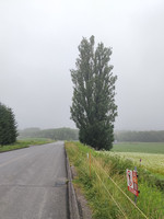 Img_20260713_054803