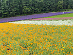 Img_20260713_095050
