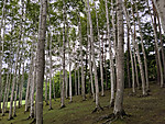 Img_20260713_095947