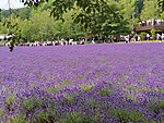 Img_20260713_101133