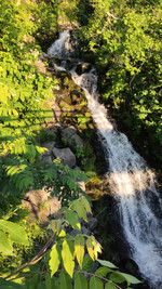Img_20260716_175531