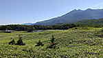 Img_20260717_081810