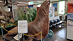 Img_20260717_145636