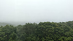 Img_20260718_084838