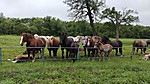 Img_20260718_151233