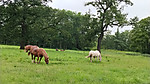 Img_20260718_151358