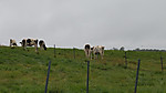 Img_20260718_152020